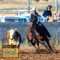 BraidwoodCampdraftSun2021_7039