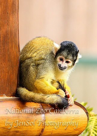 NZAJul2019_0098