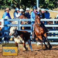 BraidwoodCampdraftSun2021_7103