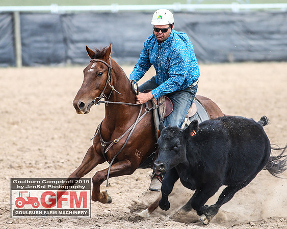 GoulburnCampdraft2019_7154