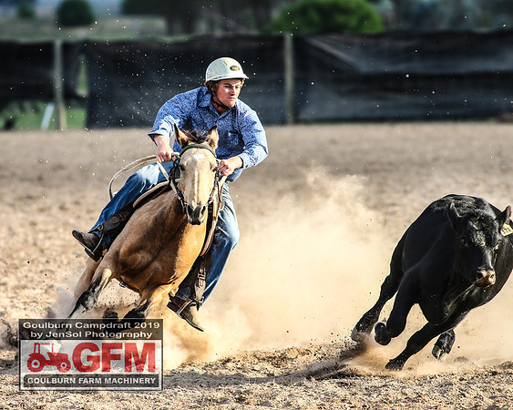 GoulburnCampdraft2019_7998