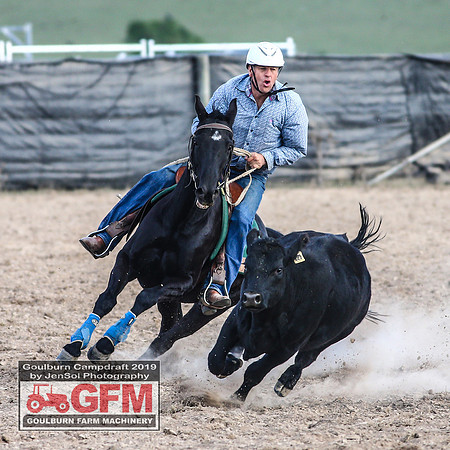 GoulburnCampdraft2019_8052