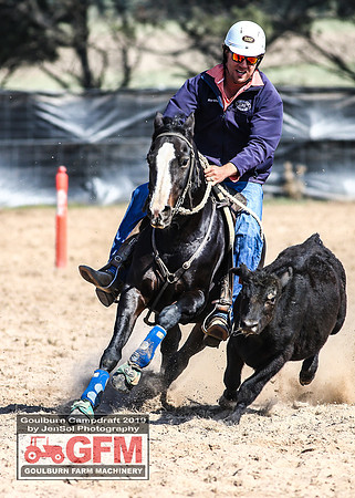 GoulburnCampdraft2019_6815