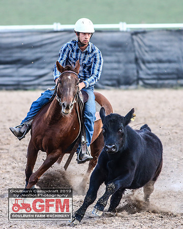 GoulburnCampdraft2019_7625