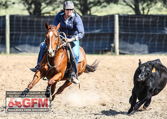 GoulburnCampdraft2019_6762