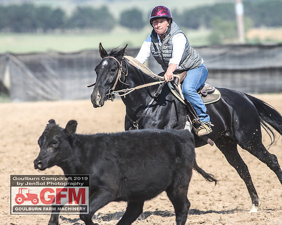 GoulburnCampdraft2019_6612