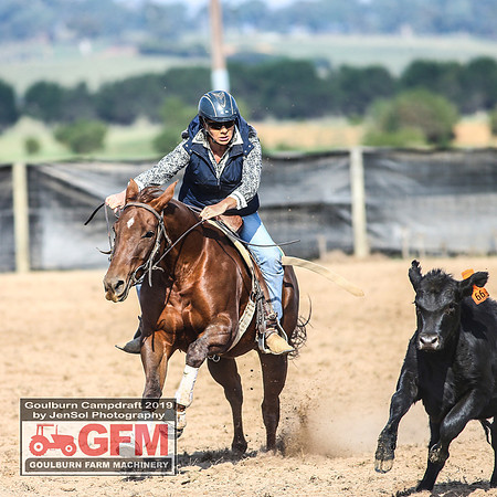 GoulburnCampdraft2019_6541