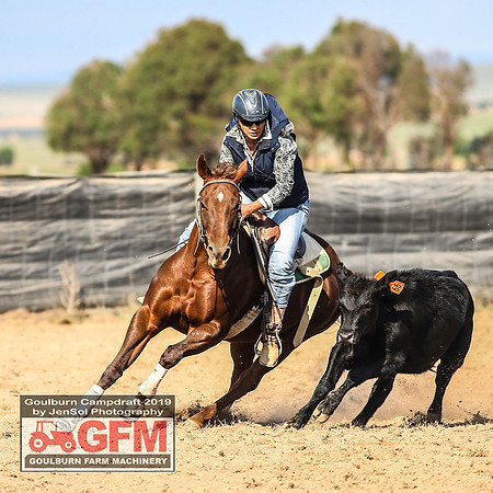 GoulburnCampdraft2019_6559