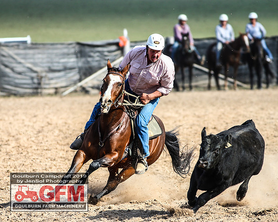 GoulburnCampdraft2019_7571