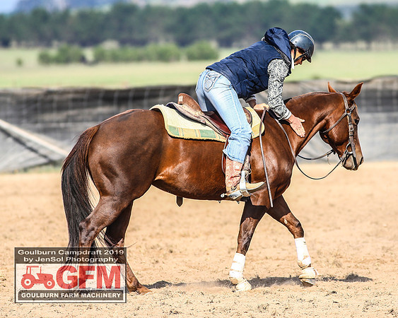 GoulburnCampdraft2019_6571