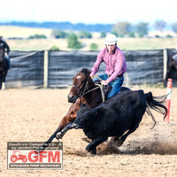 GoulburnCampdraft2019_6130