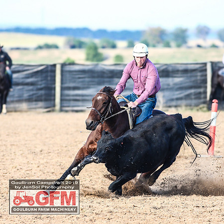 GoulburnCampdraft2019_6130