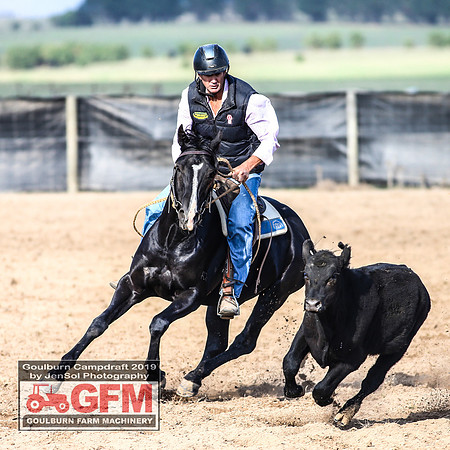 GoulburnCampdraft2019_6373