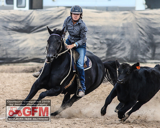 GoulburnCampdraft2019_7113