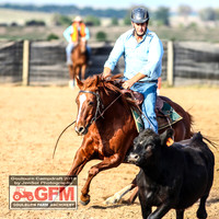 GoulburnCampdraft2019_6247