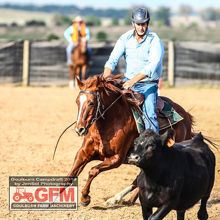 GoulburnCampdraft2019_6247