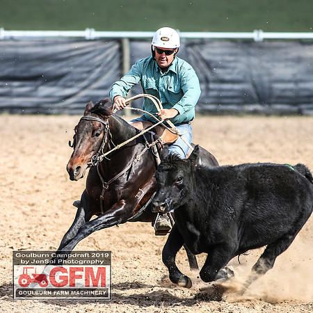 GoulburnCampdraft2019_7369