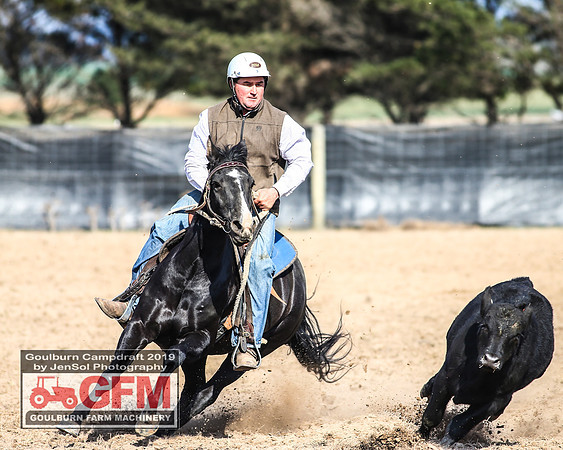 GoulburnCampdraft2019_6501