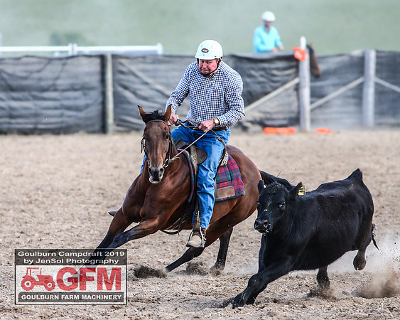 GoulburnCampdraft2019_7608