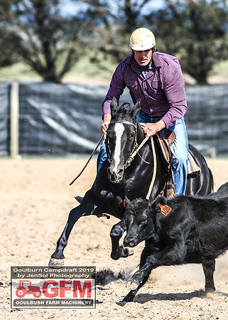 GoulburnCampdraft2019_6705