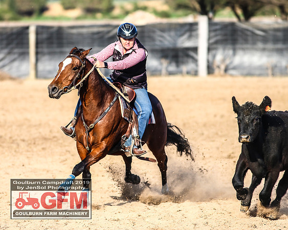GoulburnCampdraft2019_6111