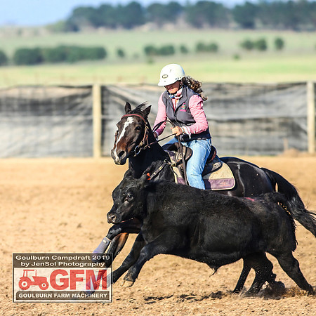 GoulburnCampdraft2019_6070