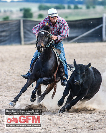 GoulburnCampdraft2019_7635