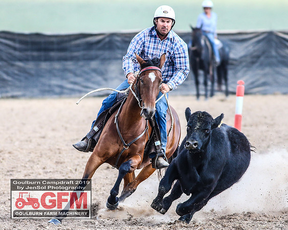 GoulburnCampdraft2019_7829