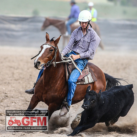 GoulburnCampdraft2019_6946