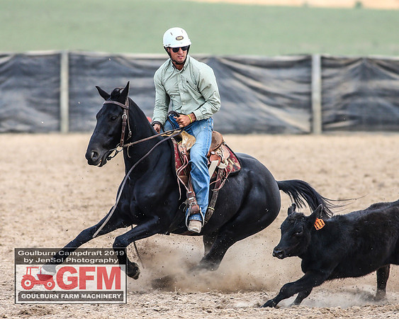 GoulburnCampdraft2019_7054