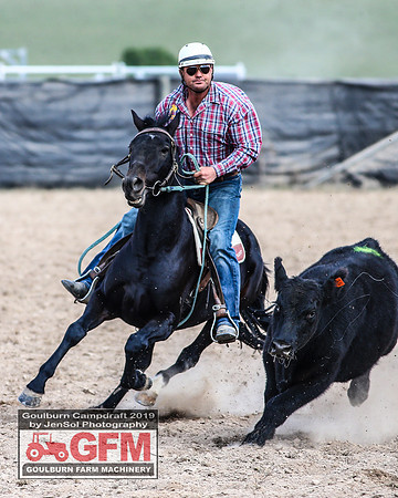 GoulburnCampdraft2019_6982