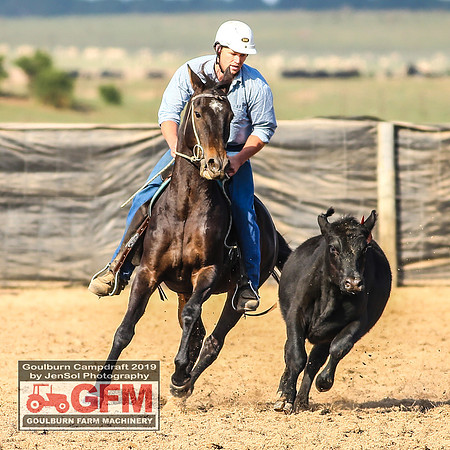 GoulburnCampdraft2019_6483