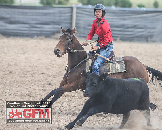 GoulburnCampdraft2019_7028