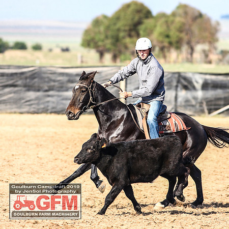 GoulburnCampdraft2019_6385