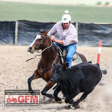 GoulburnCampdraft2019_6936