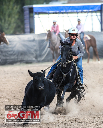GoulburnCampdraft2019_7453