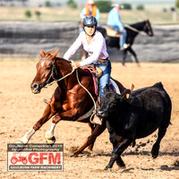 GoulburnCampdraft2019_6268