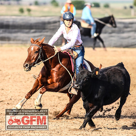 GoulburnCampdraft2019_6268