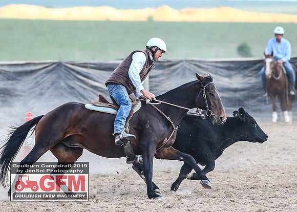 GoulburnCampdraft2019_7802