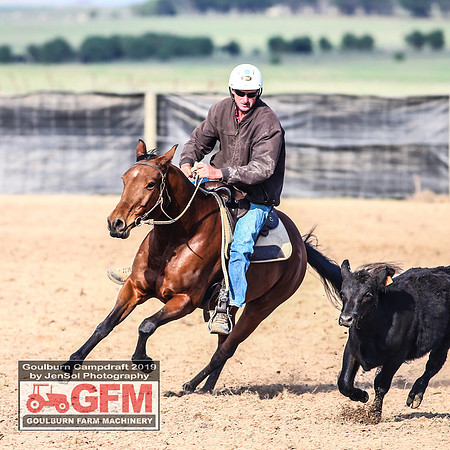 GoulburnCampdraft2019_6354
