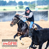 GoulburnCampdraft2019_6216