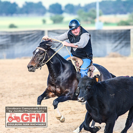 GoulburnCampdraft2019_6216