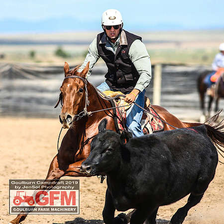 GoulburnCampdraft2019_6752