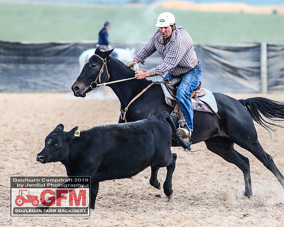 GoulburnCampdraft2019_8074