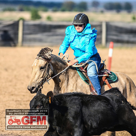 GoulburnCampdraft2019_6455