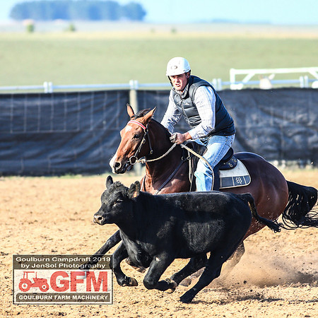 GoulburnCampdraft2019_6086