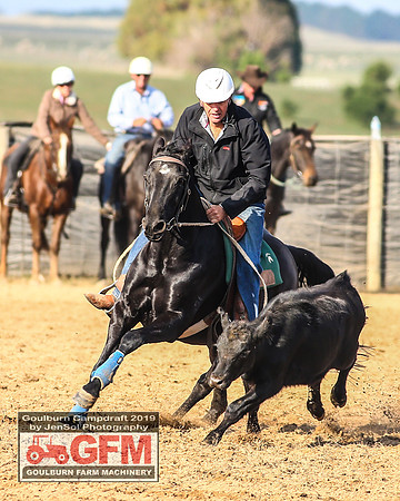 GoulburnCampdraft2019_6332