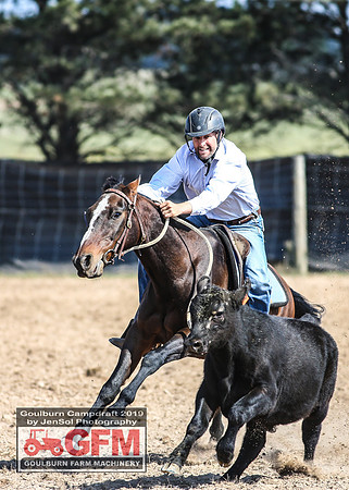 GoulburnCampdraft2019_6836