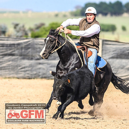 GoulburnCampdraft2019_6513
