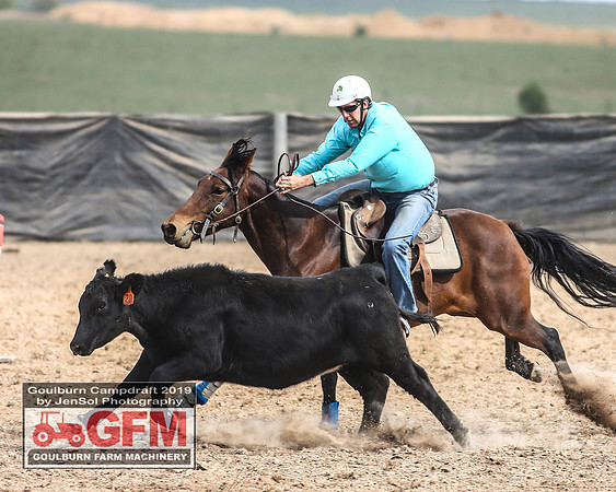 GoulburnCampdraft2019_7120